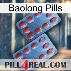 Baolong Pills 05